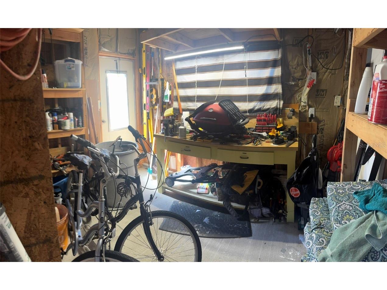 3301 Alt 19 #266 Dunedin FL 34698 TB8375562 image4