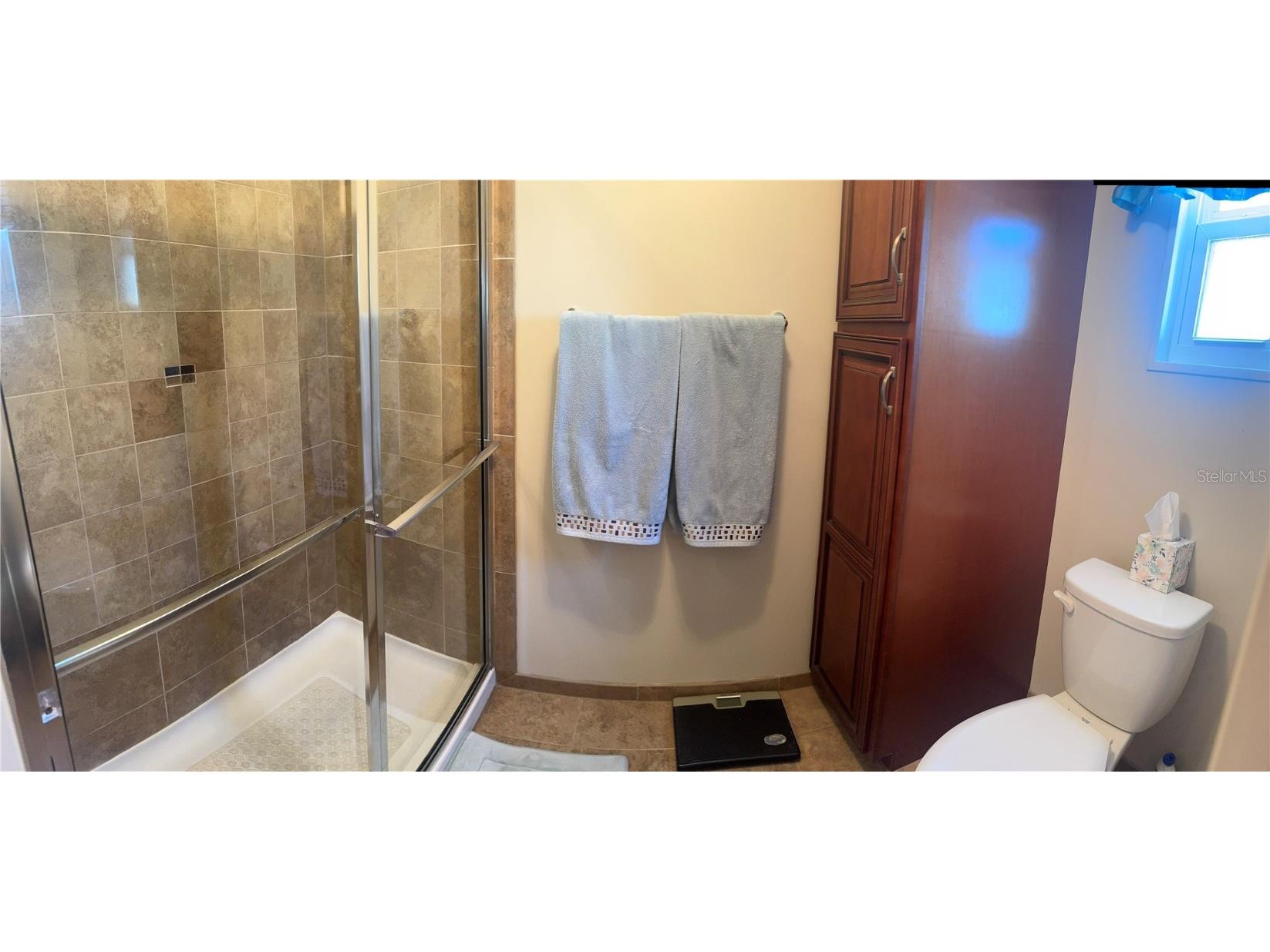 3301 Alt 19 #266 Dunedin FL 34698 TB8375562 image9