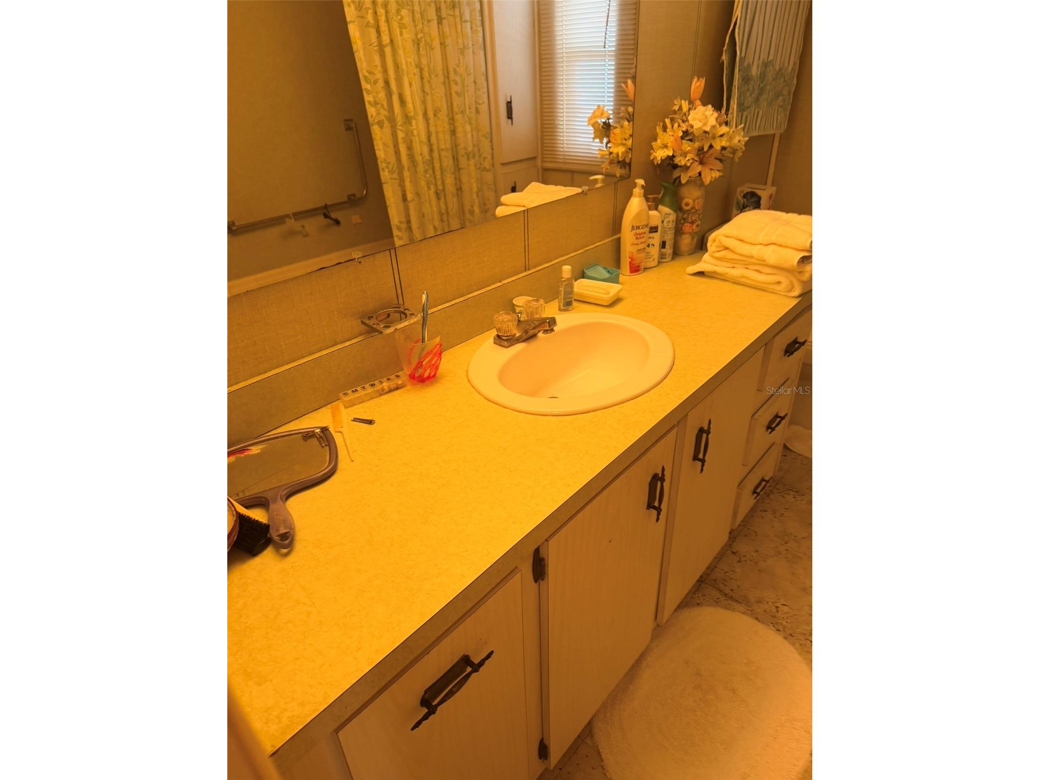3301 Alt 19 #267 Dunedin FL 34698 TB8496477 image8
