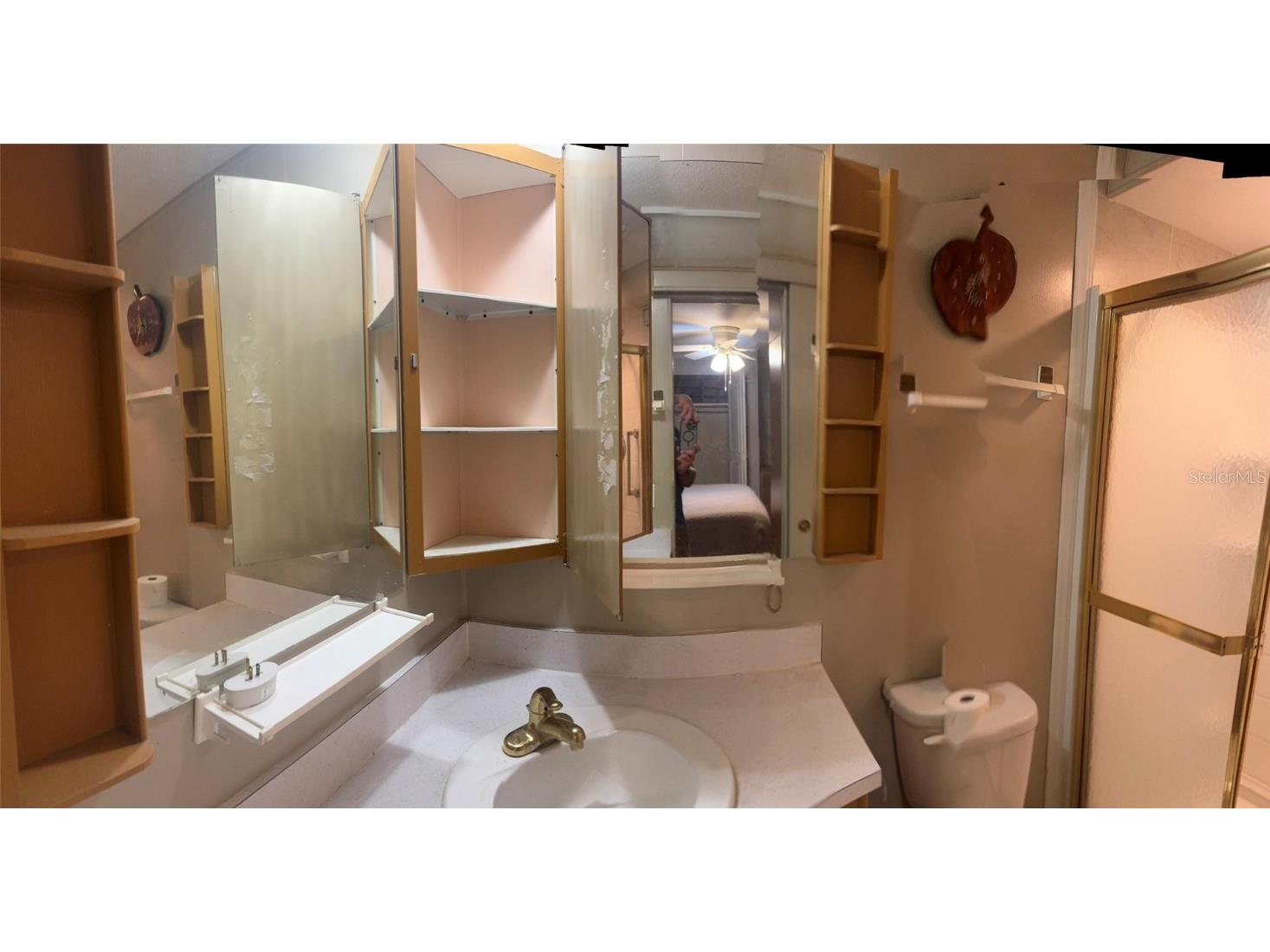 3301 Alt 19 #314 Dunedin FL 34698 TB8381944 image9