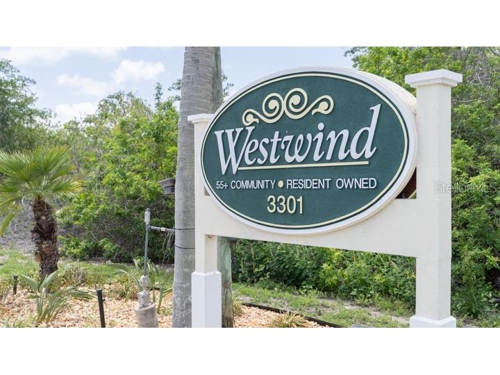 3301 Alt 19 #317 Palm Harbor FL 34683 TB8396259 image10