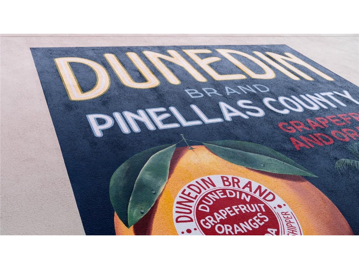 3301 Alt 19 #317 Palm Harbor FL 34683 TB8396259 image3