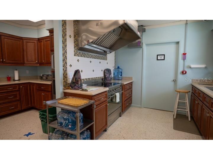 3301 Alt 19 #317 Palm Harbor FL 34683 TB8396259 image33