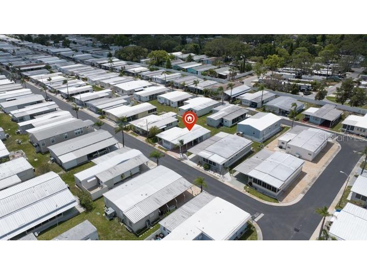3301 Alt 19 #317 Palm Harbor FL 34683 TB8396259 image39