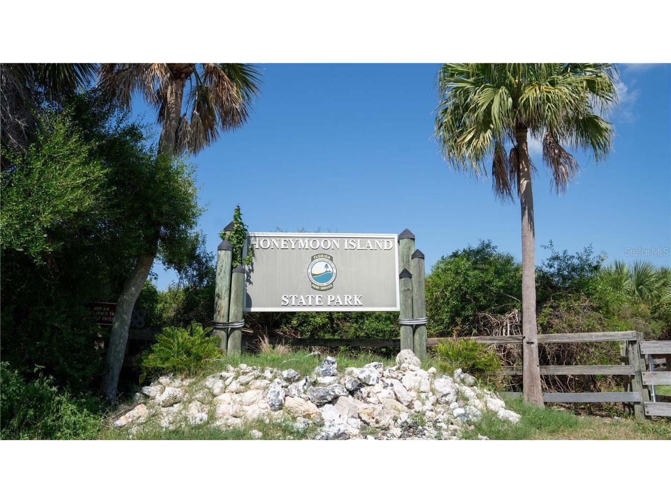 3301 Alt 19 #317 Palm Harbor FL 34683 TB8396259 image4