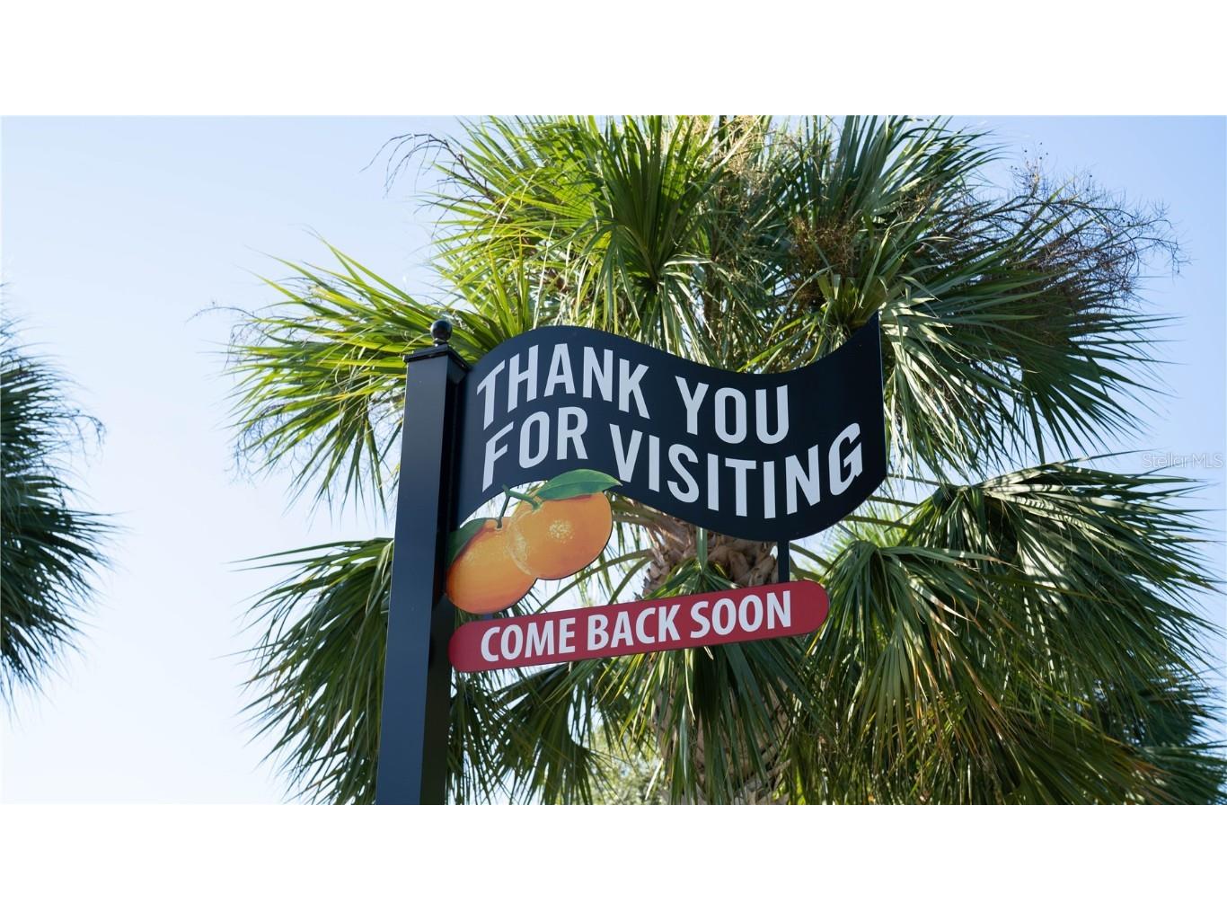 3301 Alt 19 #317 Palm Harbor FL 34683 TB8396259 image46