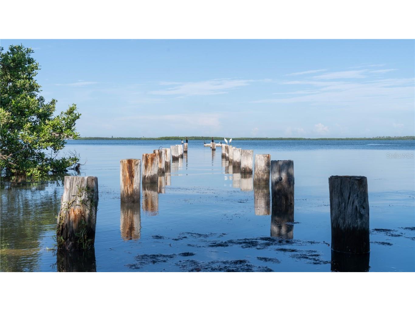 3301 Alt 19 #317 Palm Harbor FL 34683 TB8396259 image48