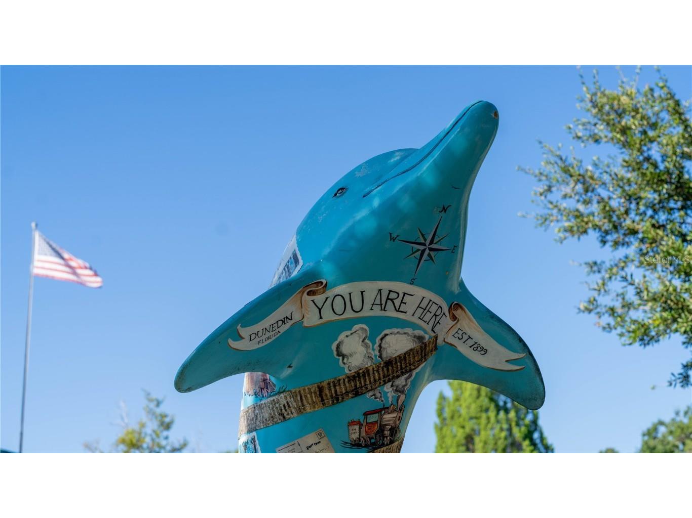 3301 Alt 19 #317 Palm Harbor FL 34683 TB8396259 image49