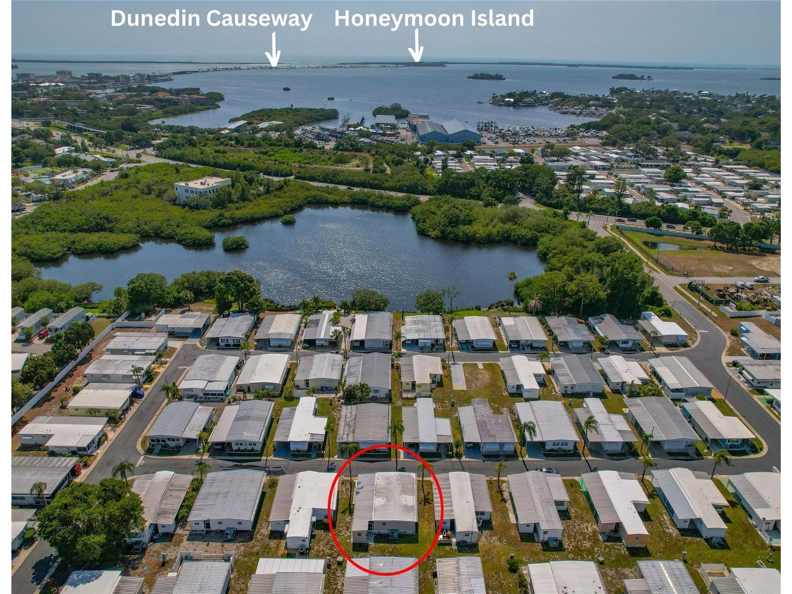 3301 Alt 19 #611 Palm Harbor FL 34683 TB8487044 image37