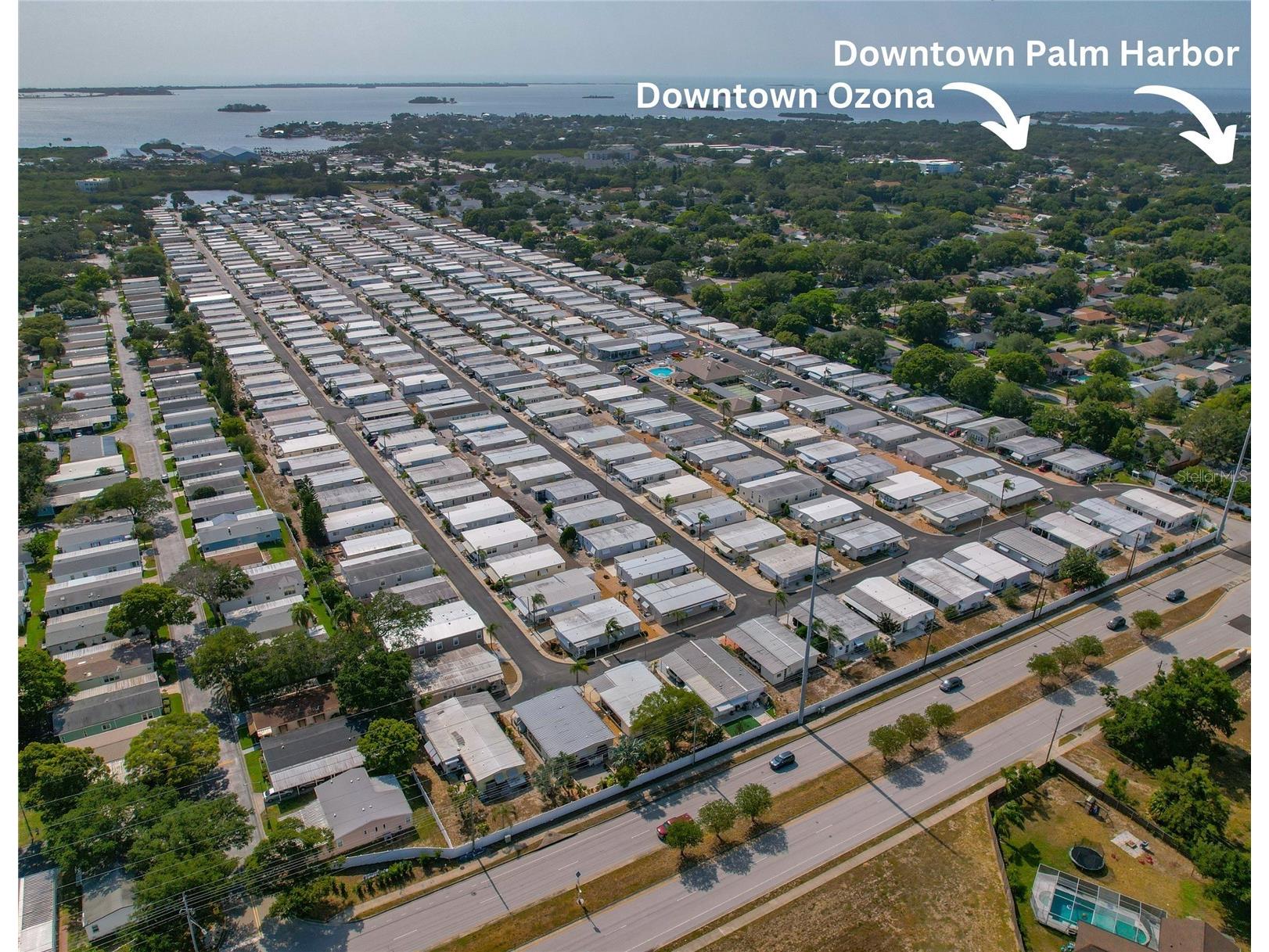 3301 Alt 19 #611 Palm Harbor FL 34683 TB8487044 image9
