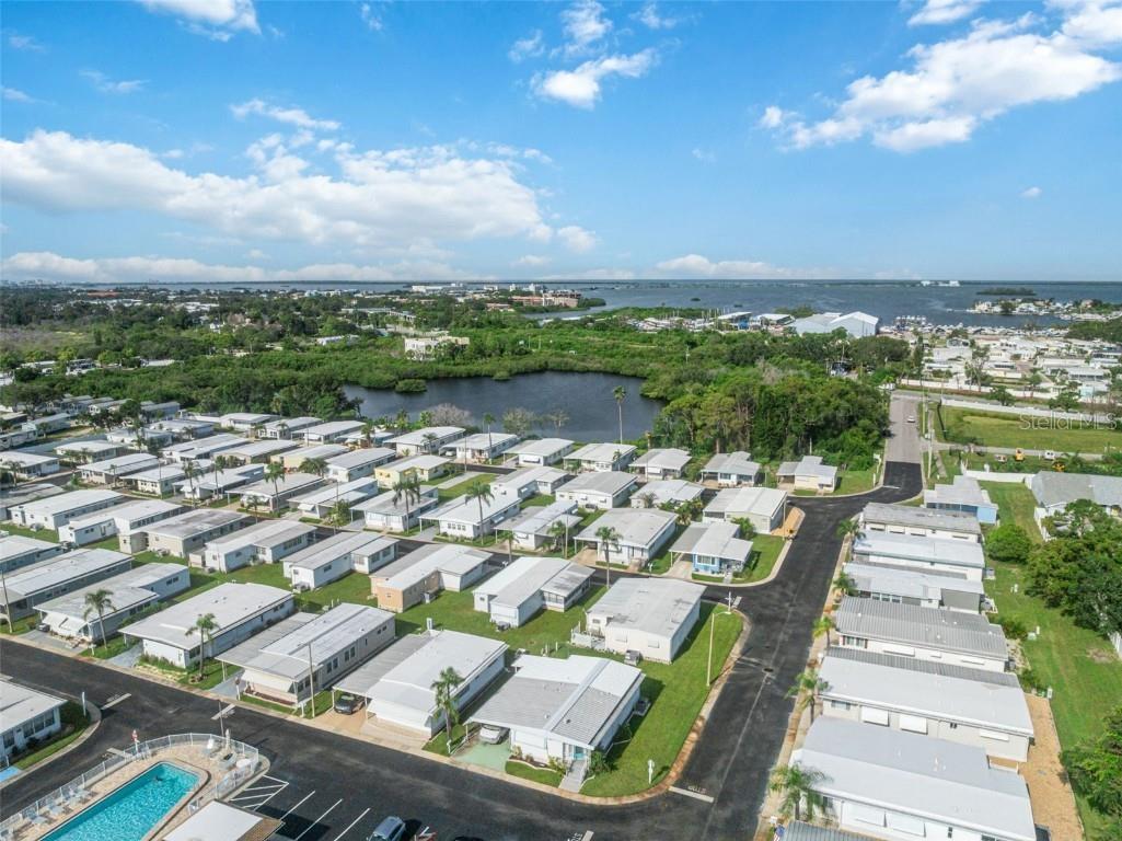 3301 Alt 19 #700 Palm Harbor FL 34683 TB8433741 image29