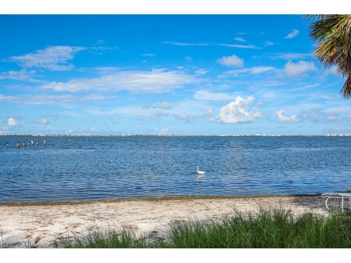 3301 Bay Shore Road Sarasota FL 34234 - SARASOTA BAY A4613341 image25