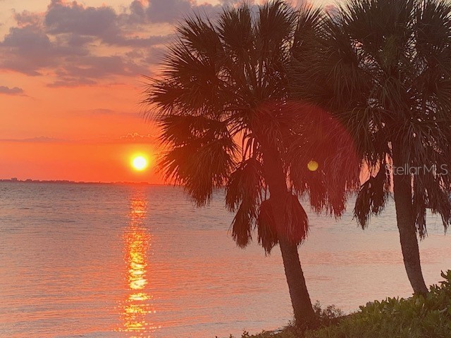 3301 Bay Shore Road Sarasota FL 34234 - SARASOTA BAY A4613341 image38