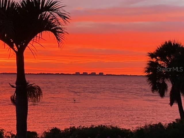 3301 Bay Shore Road Sarasota FL 34234 - SARASOTA BAY A4613341 image39