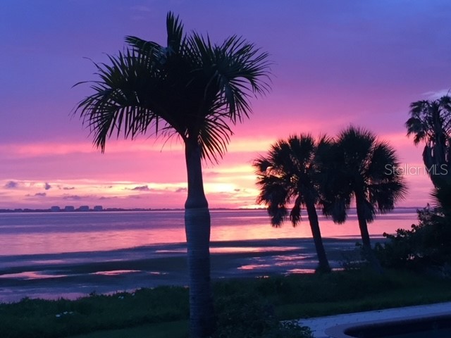 3301 Bay Shore Road Sarasota FL 34234 - SARASOTA BAY A4613341 image46