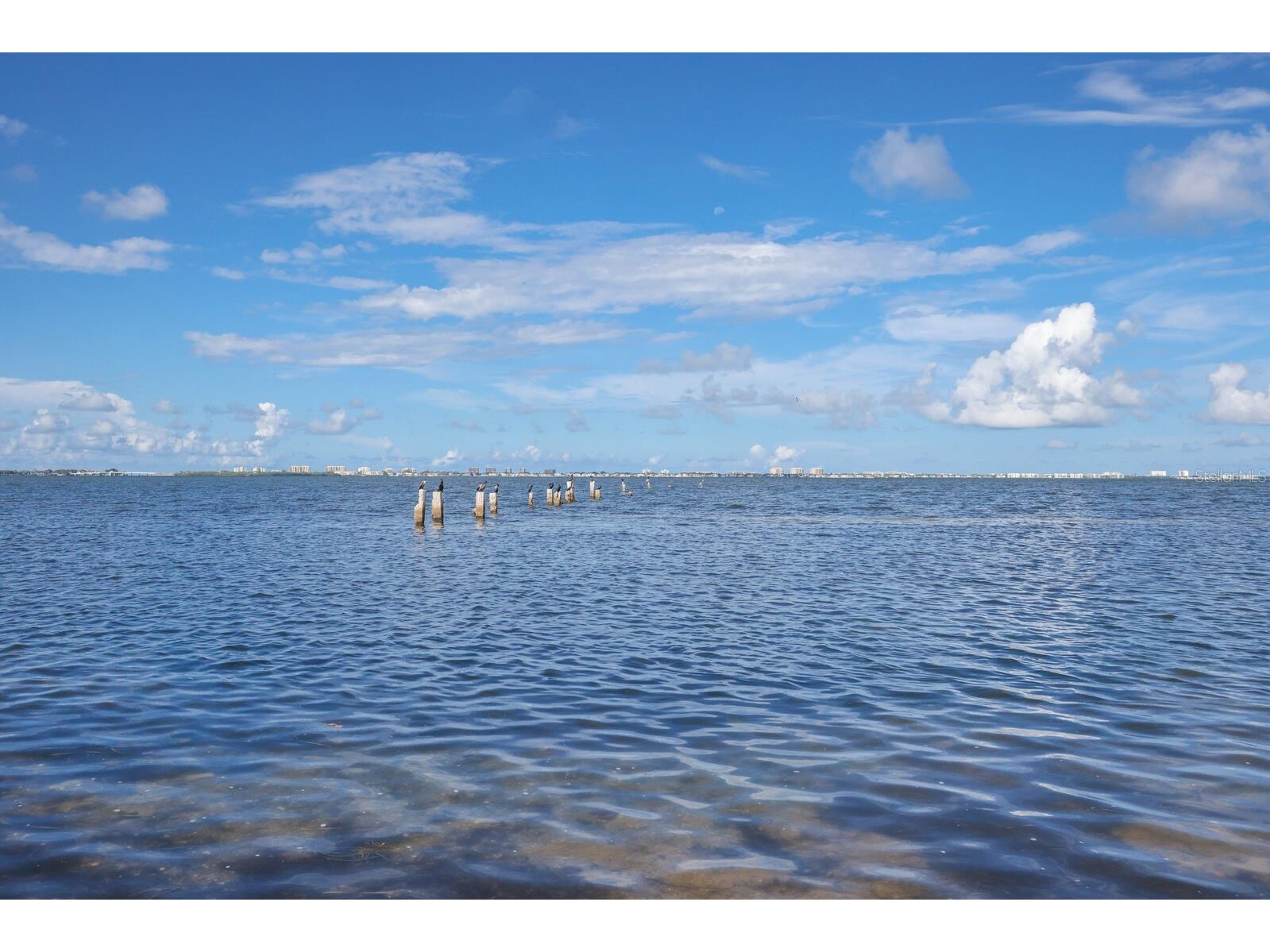 3301 Bay Shore Road Sarasota FL 34234 - SARASOTA BAY A4633995 image30