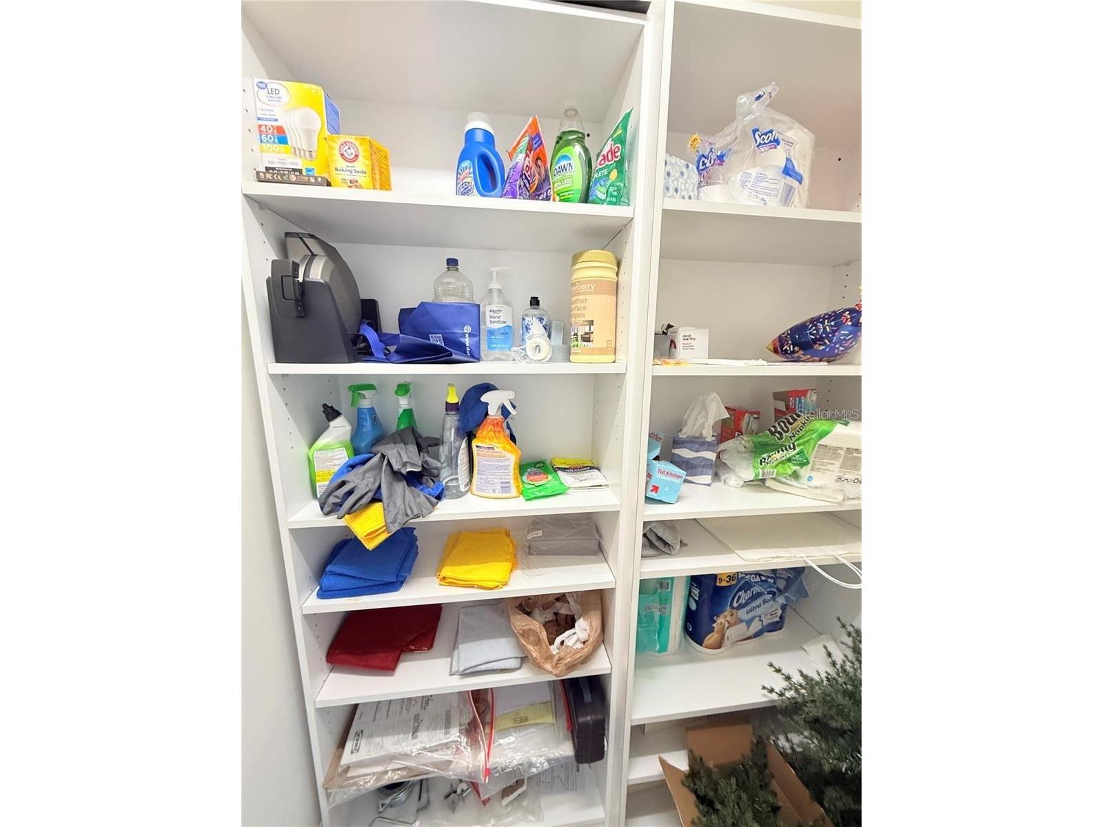 3301 Bayshore Boulevard #1001E Tampa FL 33629 TB8508725 image11
