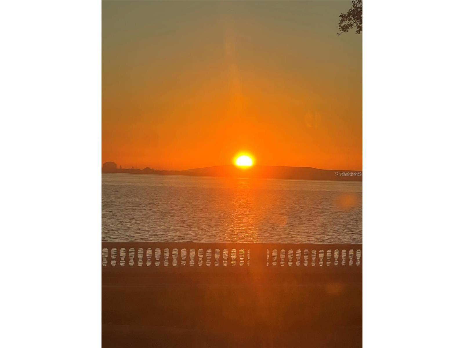 3301 Bayshore Boulevard #1001E Tampa FL 33629 TB8508725 image30