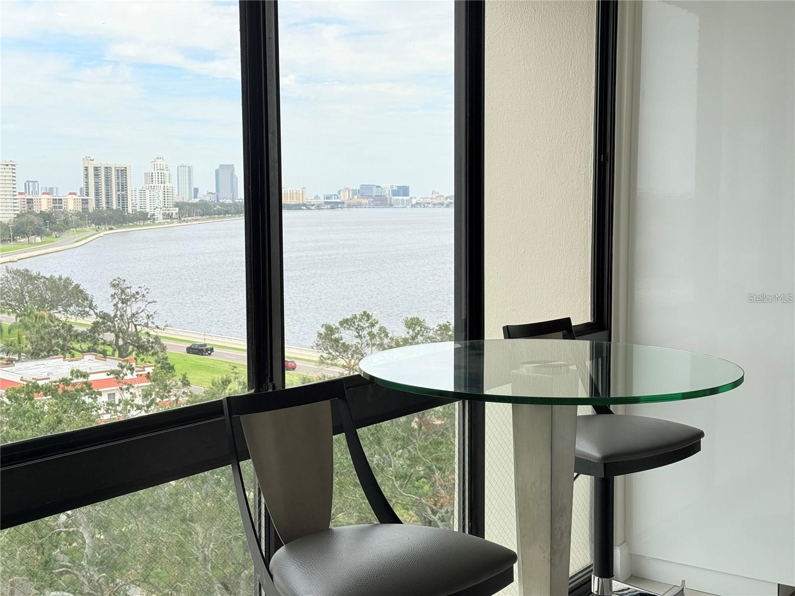 3301 Bayshore Boulevard #1001E Tampa FL 33629 TB8508725 image4