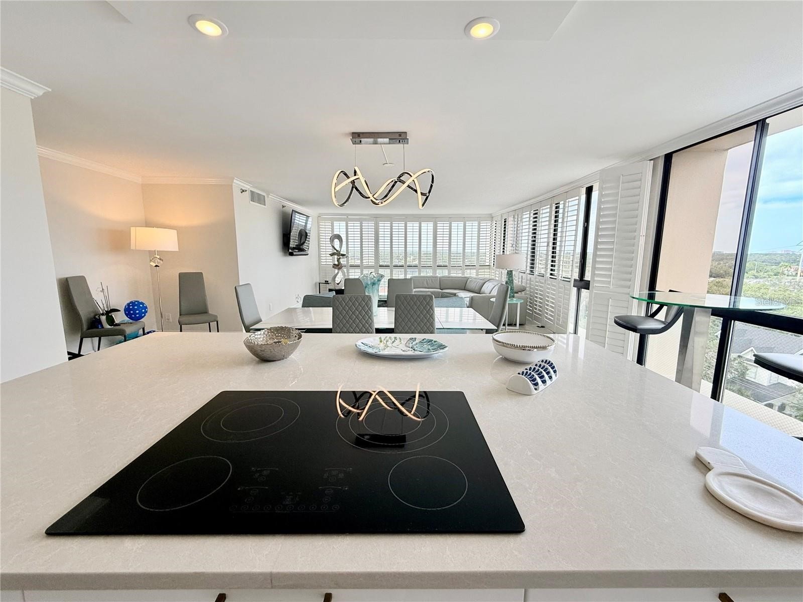3301 Bayshore Boulevard #1001E Tampa FL 33629 TB8508725 image9