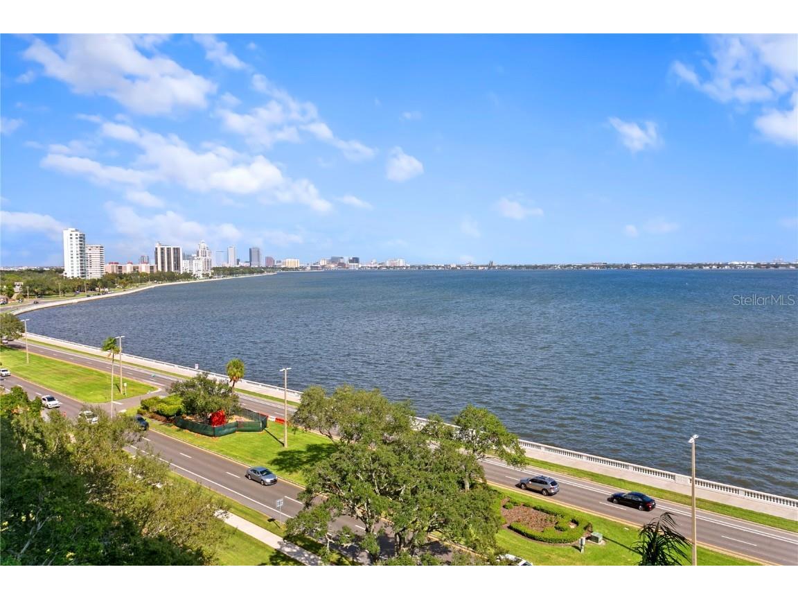 3301 Bayshore Boulevard #1005C Tampa FL 33629 - HILLSBOROUGH BAY T3481786 image1