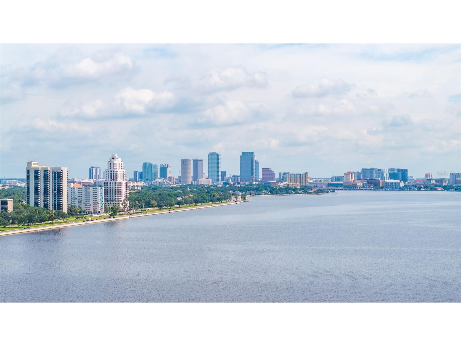 3301 Bayshore Boulevard #1510A Tampa FL 33629 TB8509762 image2