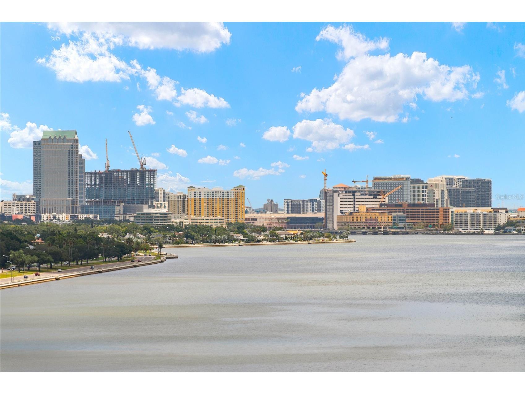 3301 Bayshore Boulevard #1601E Tampa FL 33629 TB8526527 image11