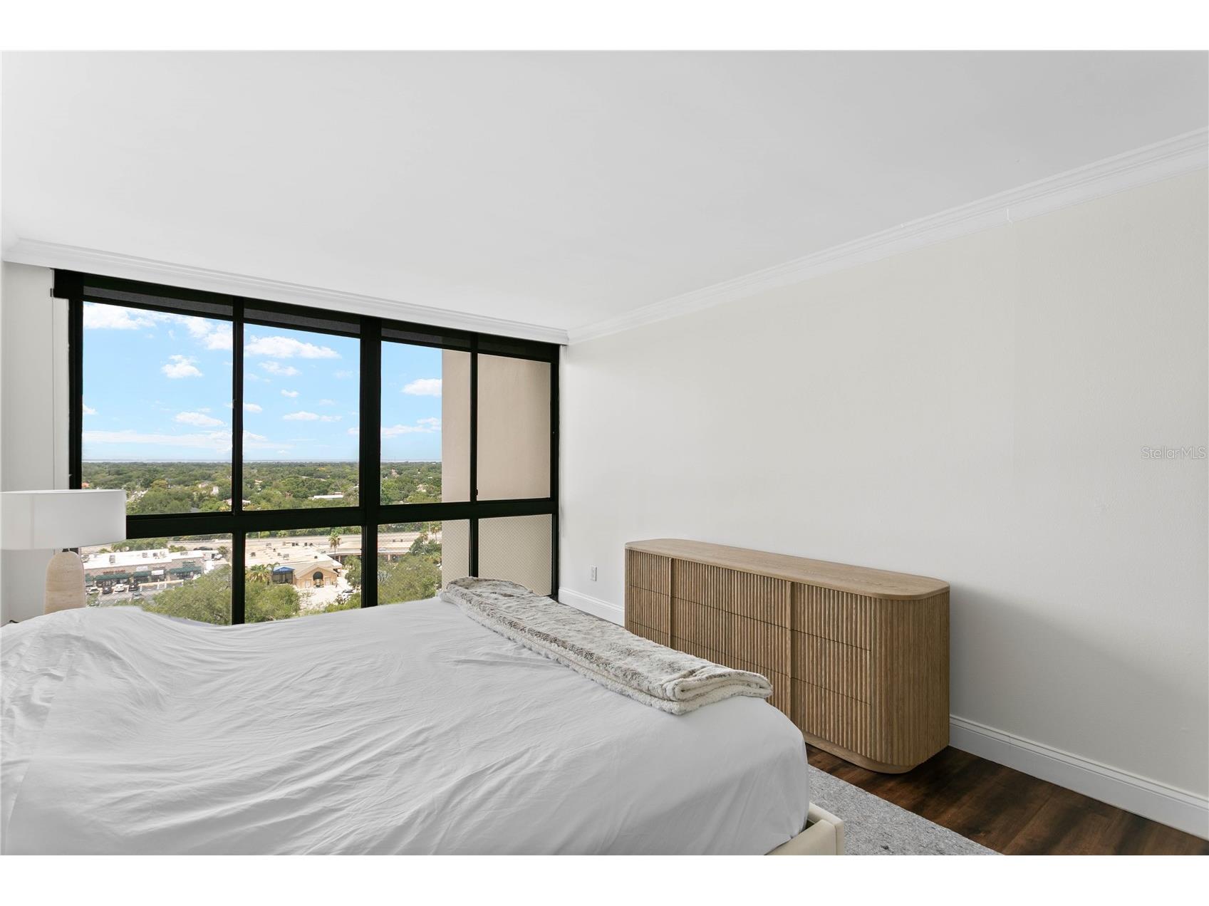 3301 Bayshore Boulevard #1601E Tampa FL 33629 TB8526527 image28