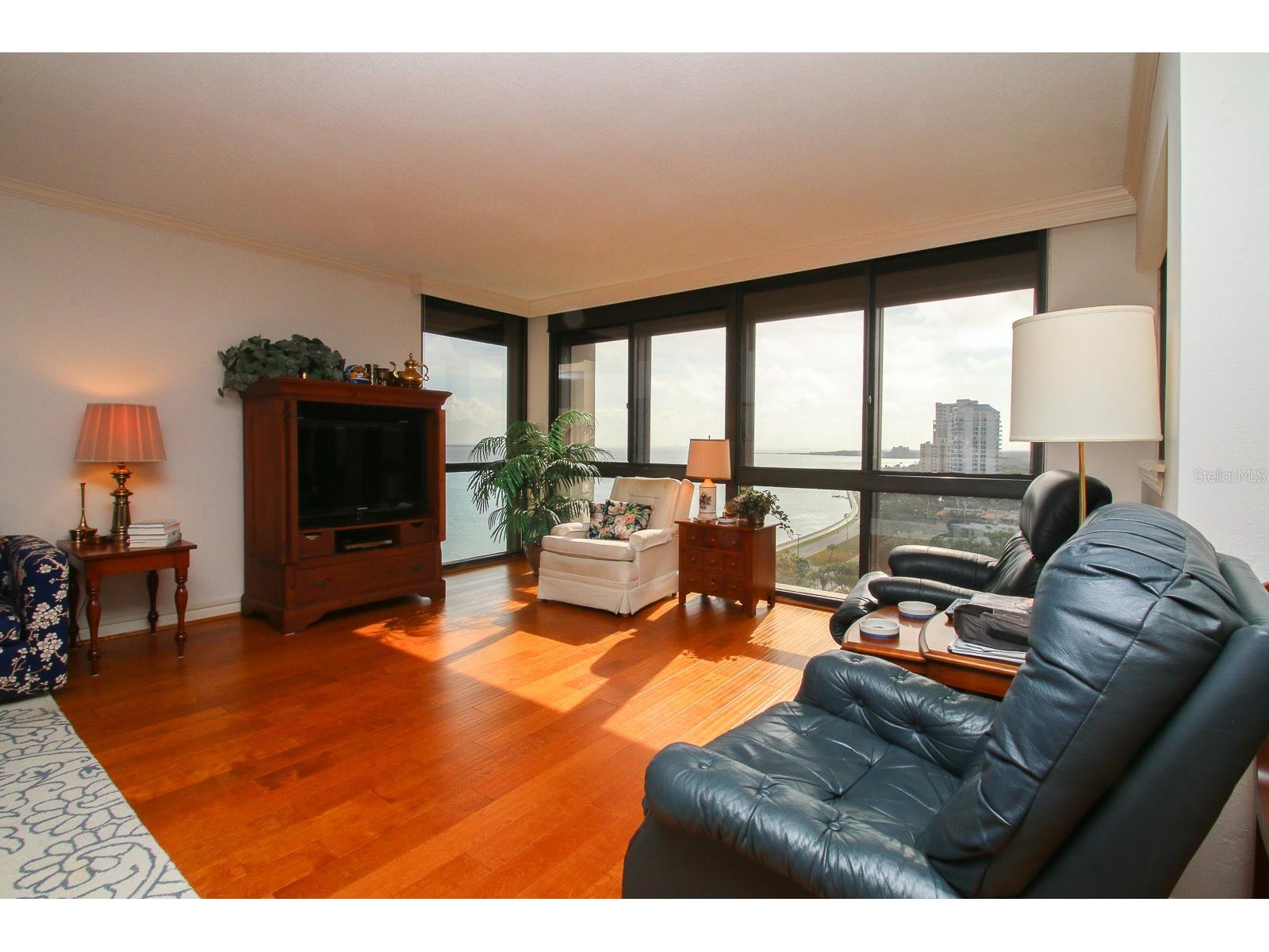 3301 Bayshore Boulevard #1609A Tampa FL 33629 - HILLSBOROUGH BAY TB8509865 image4
