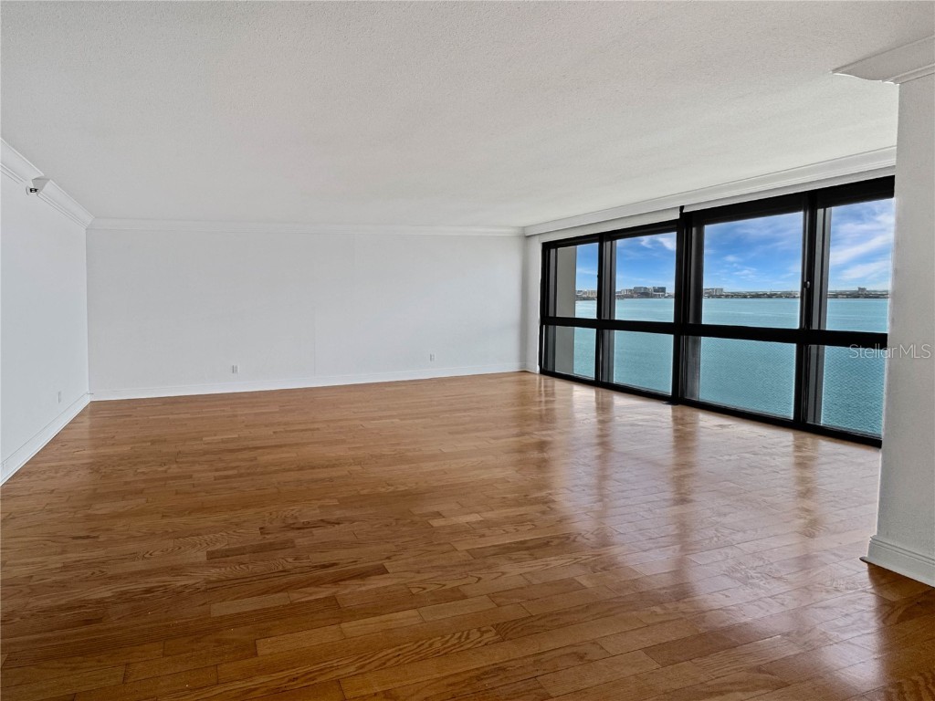 3301 Bayshore Boulevard #1705C Tampa FL 33629 - HILLSBOROUGH BAY TB8419806 image3