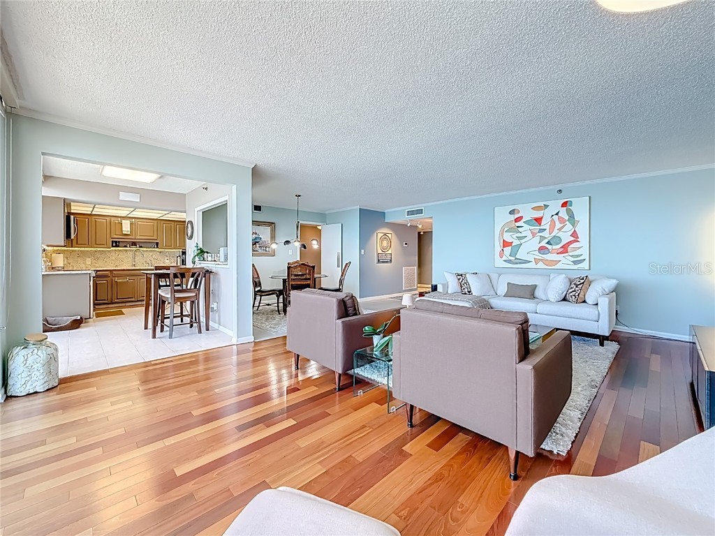 3301 Bayshore Boulevard #1905C Tampa FL 33629 TB8445336 image26