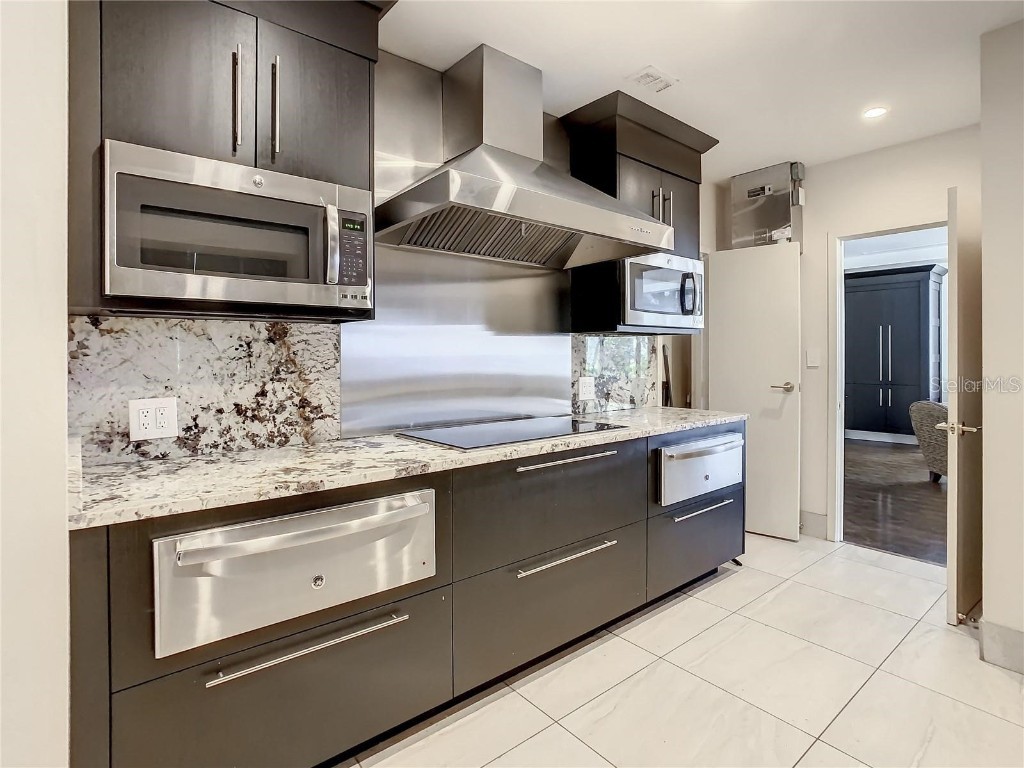 3301 Bayshore Boulevard #1905C Tampa FL 33629 TB8445336 image65