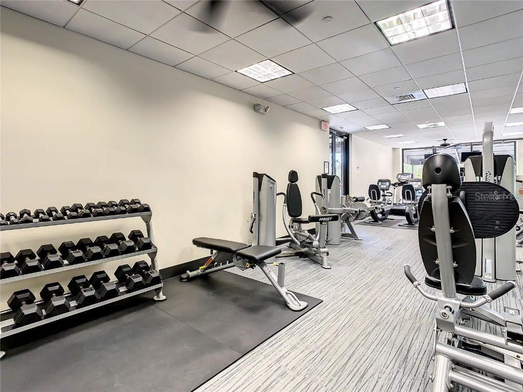 3301 Bayshore Boulevard #1905C Tampa FL 33629 TB8445336 image67