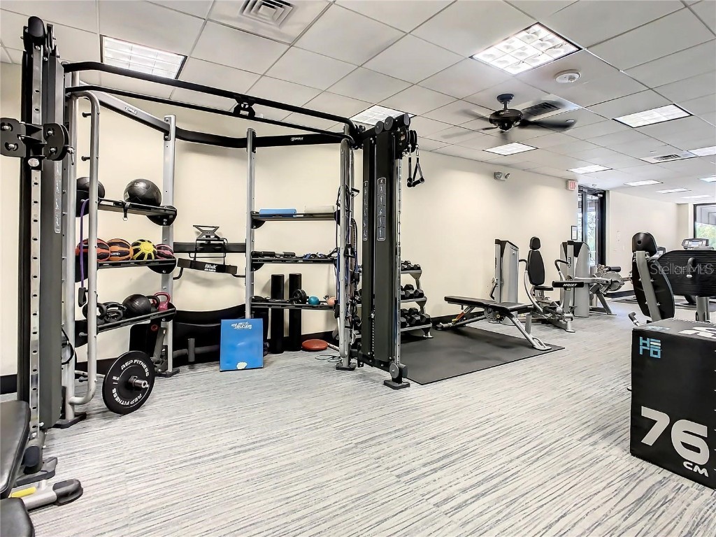 3301 Bayshore Boulevard #1905C Tampa FL 33629 TB8445336 image68