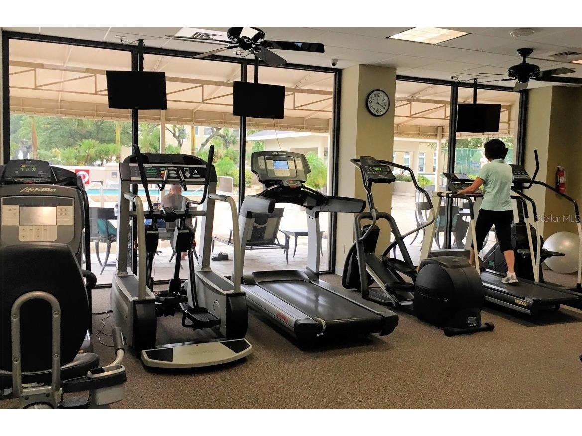 3301 Bayshore Boulevard #2003D Tampa FL 33629 TB8371920 image22