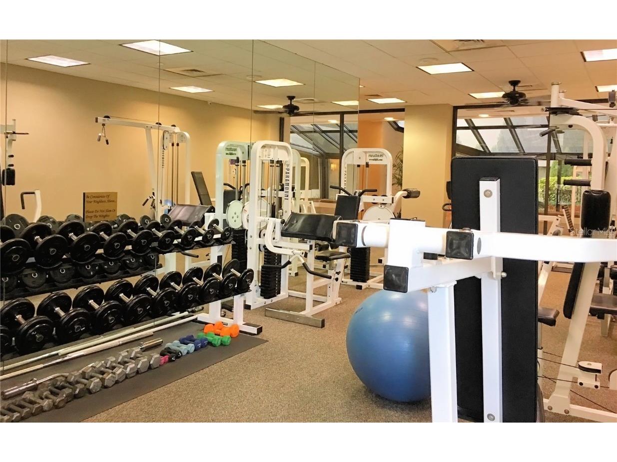 3301 Bayshore Boulevard #2003D Tampa FL 33629 TB8371920 image23