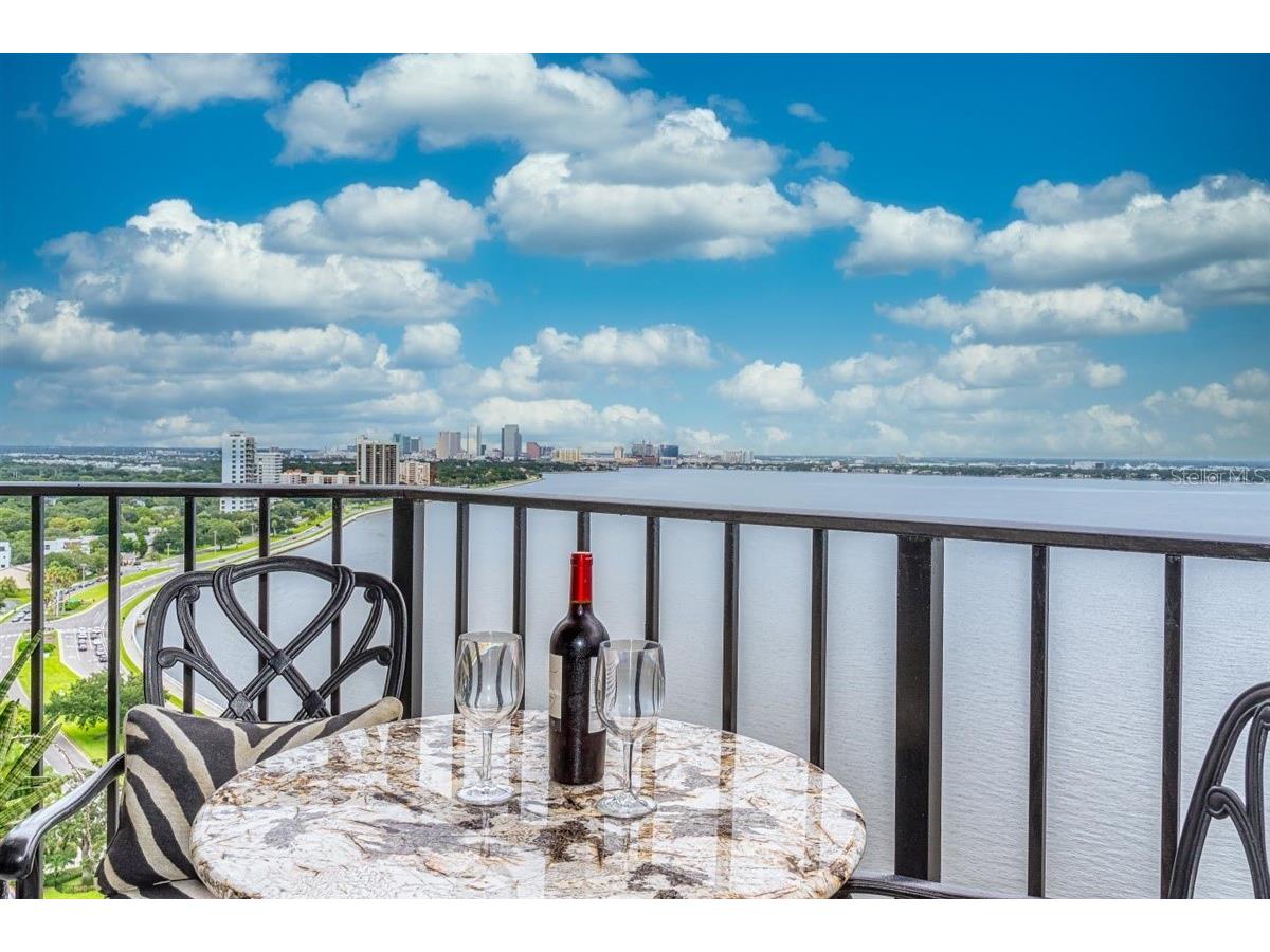 3301 Bayshore Boulevard #2207B Tampa FL 33629 - HILLSBOROUGH BAY AND TAMPA BAY TB8490748 image39