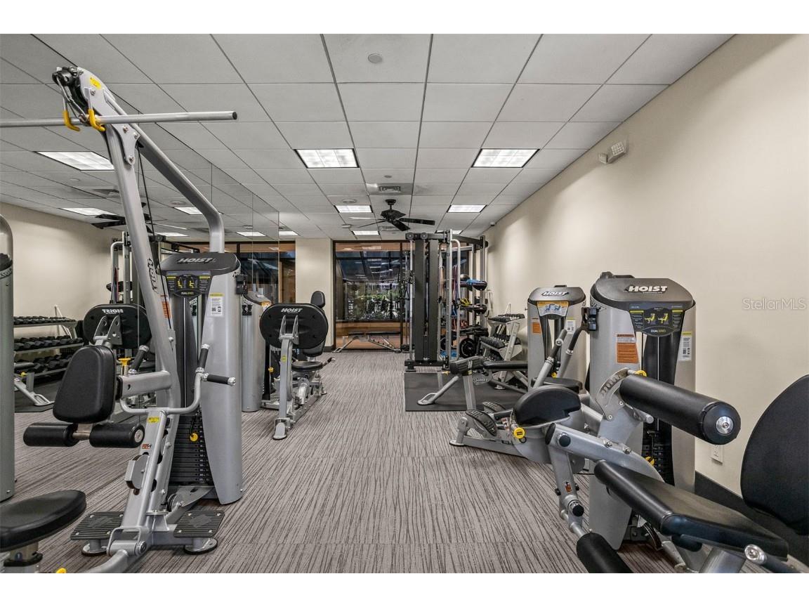 3301 Bayshore Boulevard #2303D Tampa FL 33629 TB8419749 image61