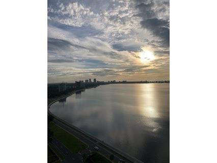 3301 Bayshore Boulevard #2303D Tampa FL 33629 TB8419749 image85