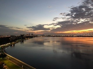 3301 Bayshore Boulevard #2303D Tampa FL 33629 TB8419749 image86