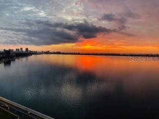 3301 Bayshore Boulevard #2303D Tampa FL 33629 TB8419749 image88