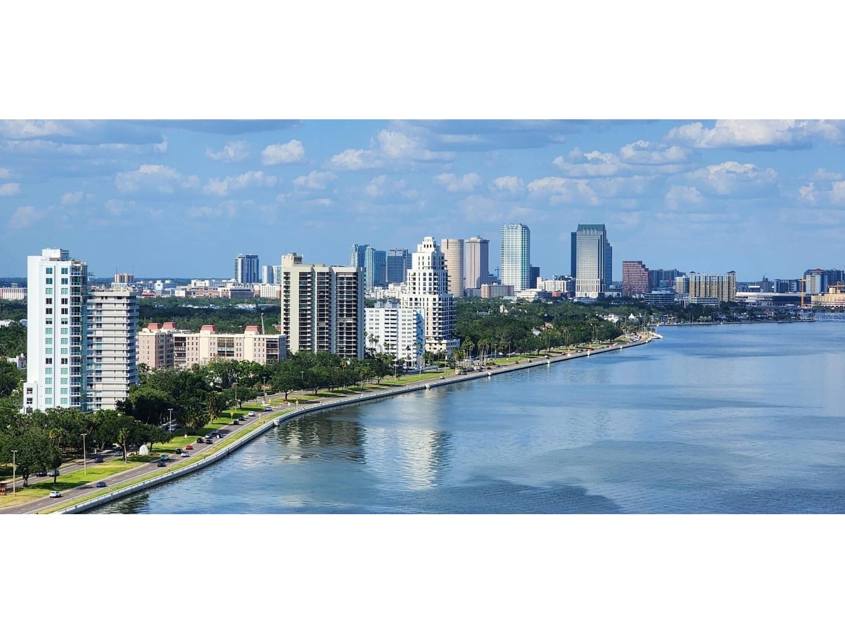3301 Bayshore Boulevard #2401E Tampa FL 33629 TB8376640 image2