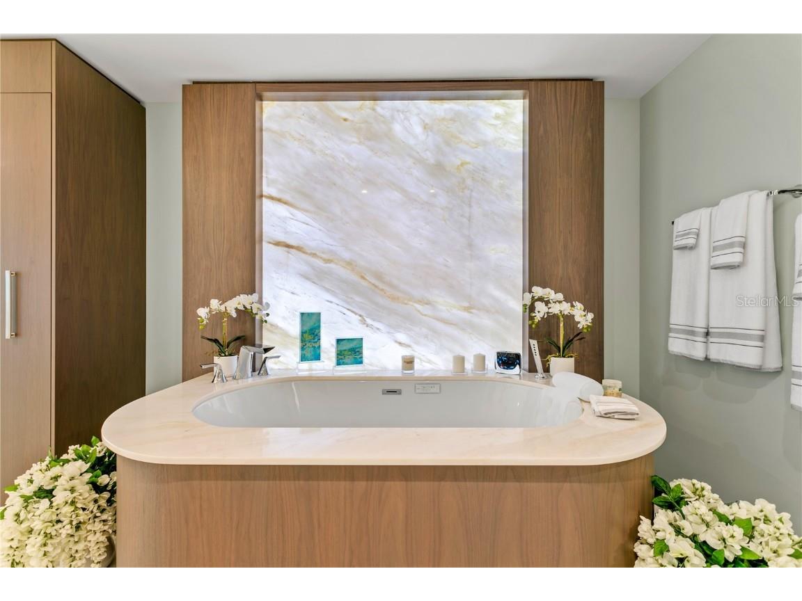 3301 Bayshore Boulevard #2401E Tampa FL 33629 TB8376640 image47