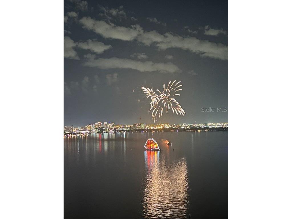 3301 Bayshore Boulevard #2401E Tampa FL 33629 TB8376640 image60