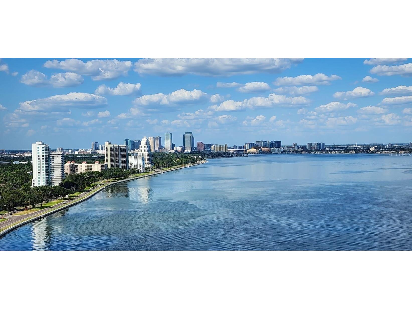 3301 Bayshore Boulevard #2401E Tampa FL 33629 TB8376640 image61