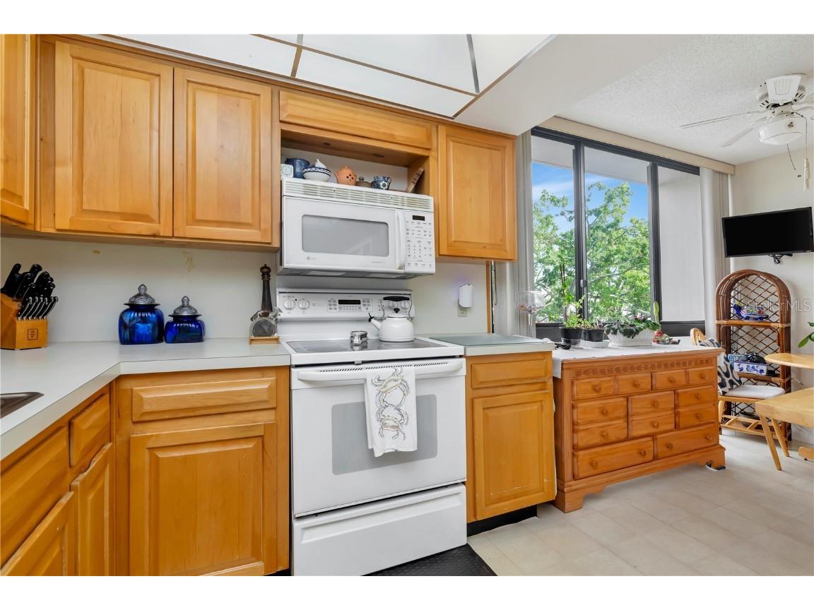 3301 Bayshore Boulevard #302E Tampa FL 33629 TB8452479 image17