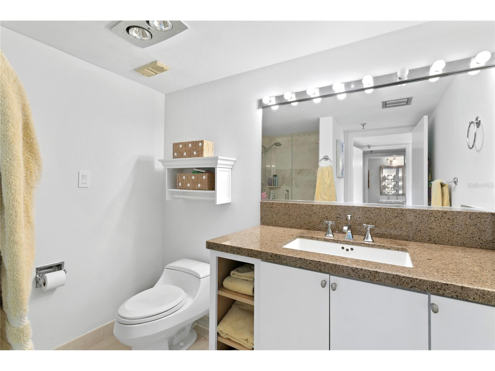 3301 Bayshore Boulevard #408B Tampa FL 33629 TB8496139 image22