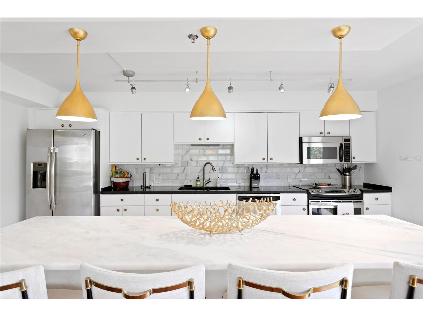 3301 Bayshore Boulevard #408B Tampa FL 33629 TB8496139 image5