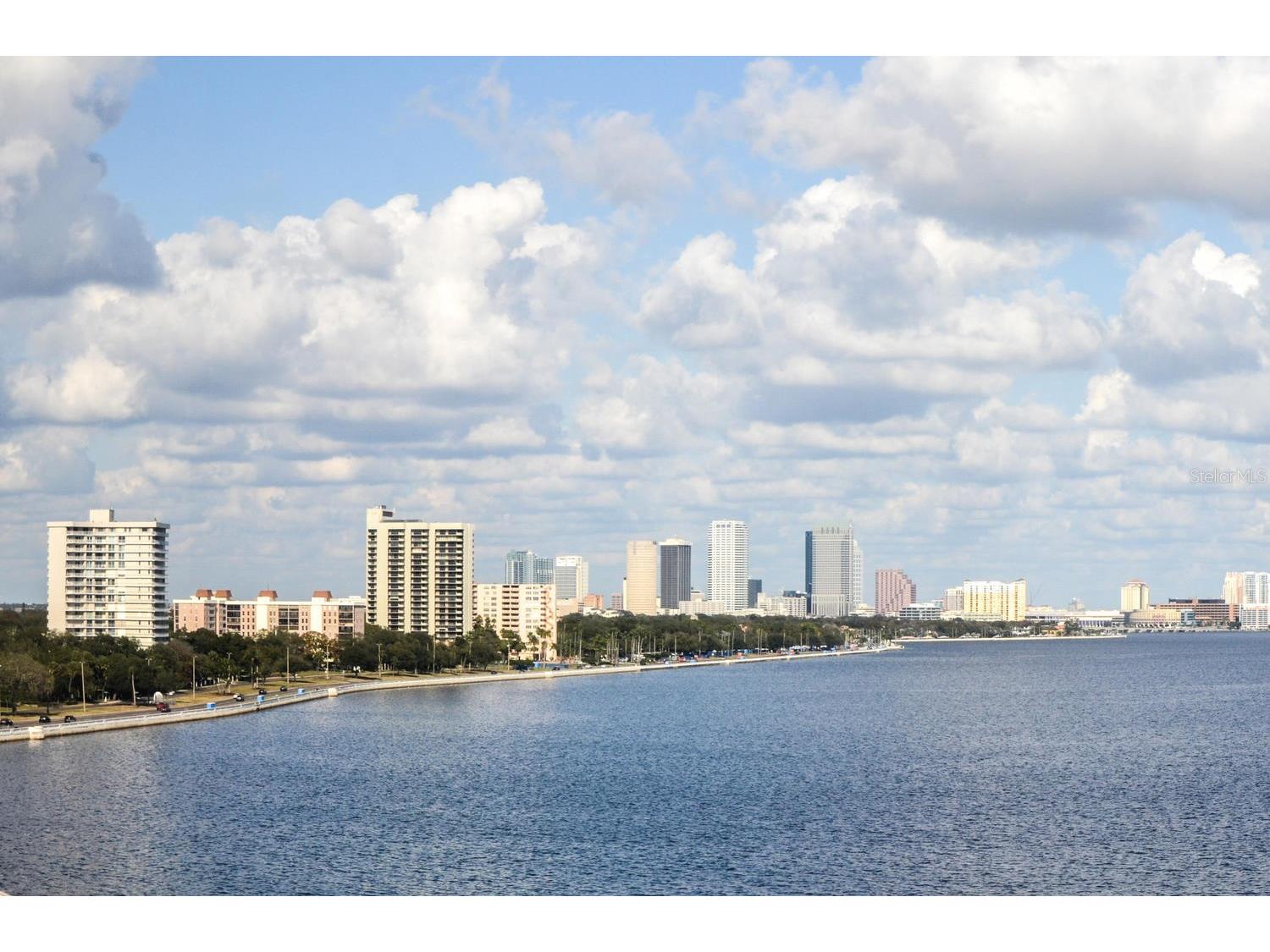 3301 Bayshore Boulevard #505C Tampa FL 33629 TB8474542 image21