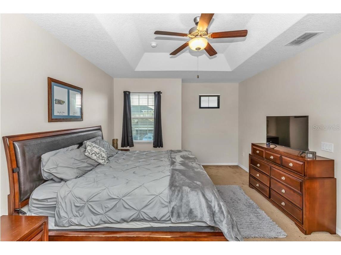 3301 Bethpage Loop Mount Dora FL 32757 G5104079 image23